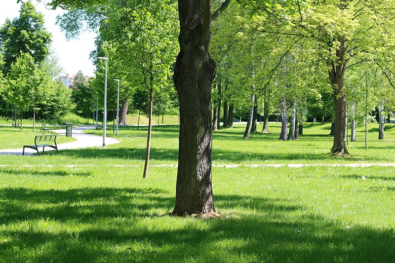 prazska-tura-kralovskou-oborou